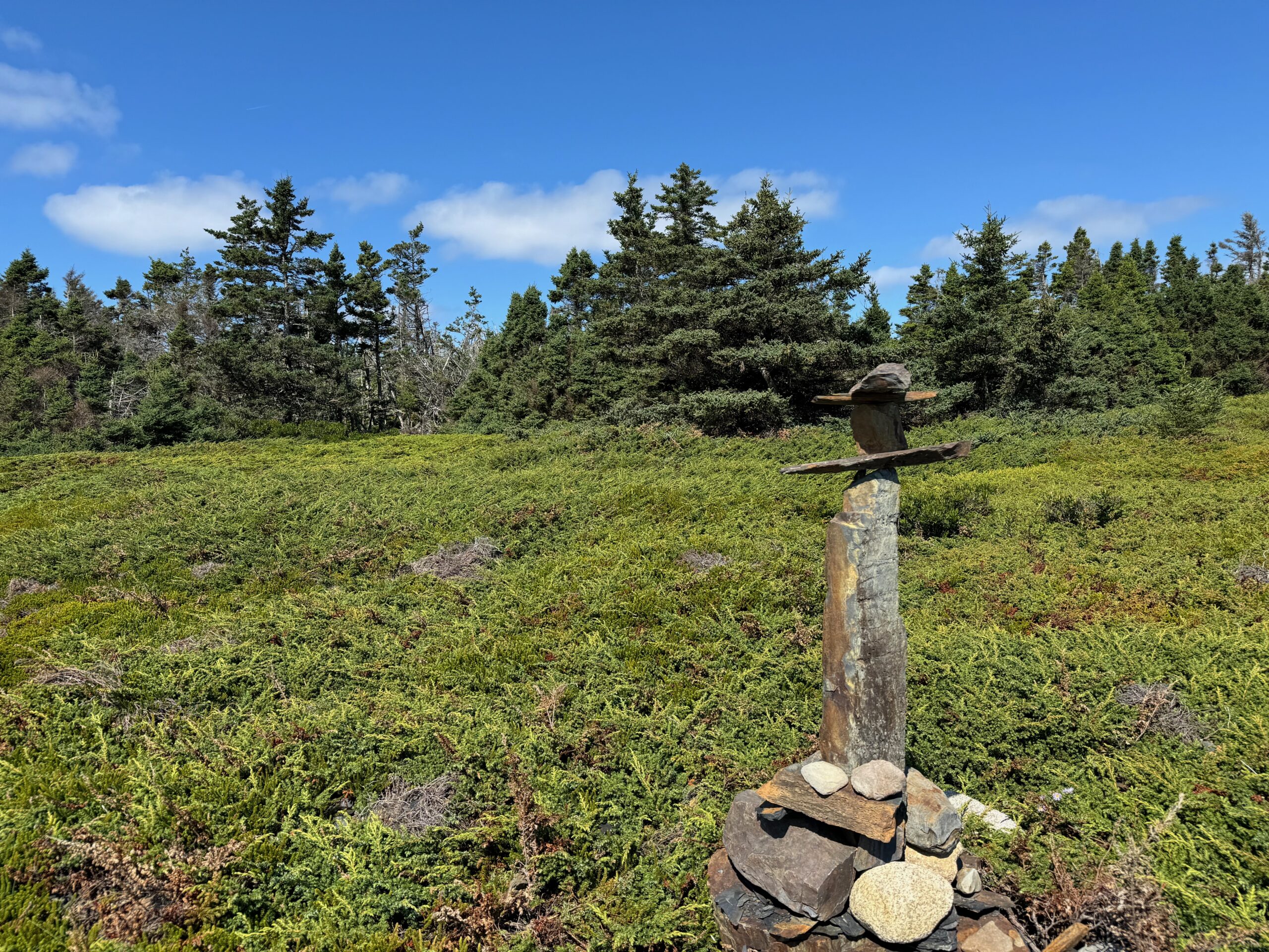 A inukshuk in a green wildflower field with trees in the background and a blue sky